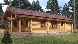 фото Дом-баня из бревна 127.82