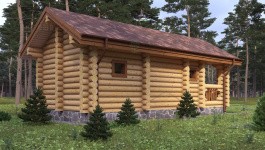 фото Баня из бревна 39.48
