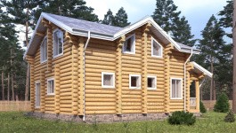 фото Дом-баня из бревна 150.65