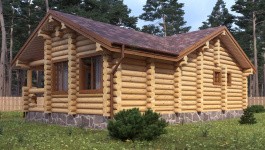 фото Баня из бревна 79.13