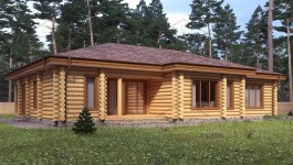 фото Дом из бревна 230.56