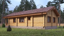 фото Дом-баня из бревна 127.82