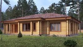 фото Дом из бревна 230.56