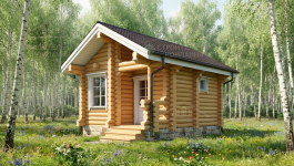 фото Баня из бревна 20 м.кв.
