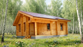 фото Дом из бревна лиственницы 54.9