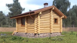 фото Баня из бревна 29.81