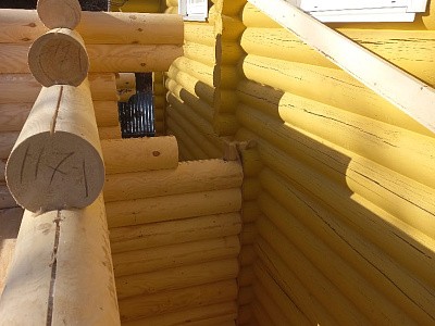 фото к Пристройка к дому бревно 220мм Талдомский р-н СНТ «Агросад»  #5