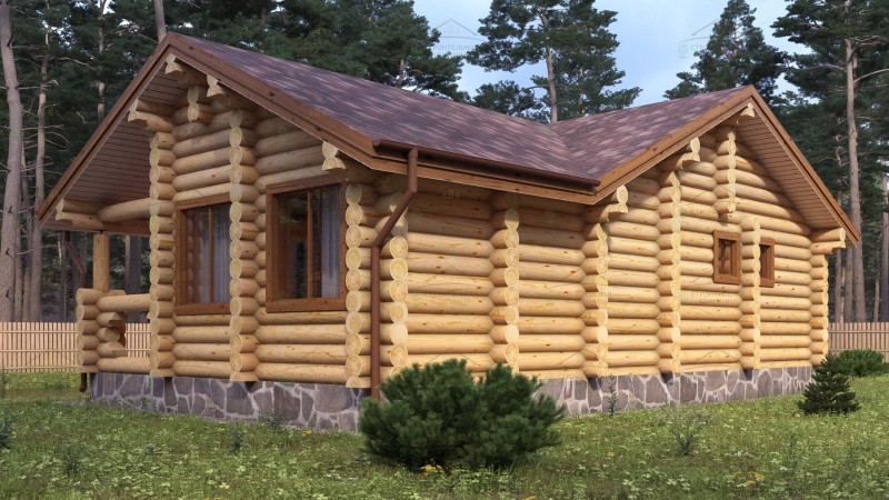 фото Баня из бревна 79.13